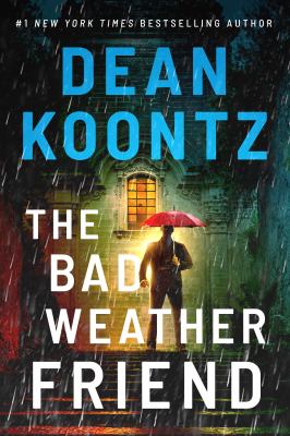 The bad weather friend Book cover