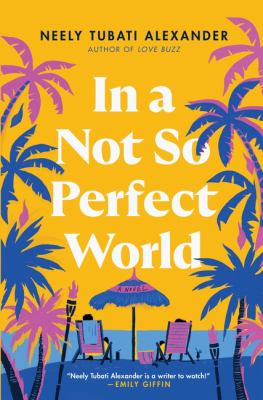 In a not so perfect world : a novel Book cover
